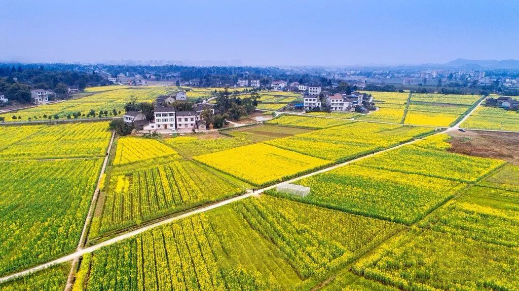 營山縣駱市鎮(zhèn)（天橋村、楊柳村）小橋鎮(zhèn)（五里村、梯巖村）土地整理項(xiàng)目2.jpg